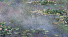 Monet's Water Lilies