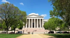 The Stories Behind “Little Beasts” Artworks